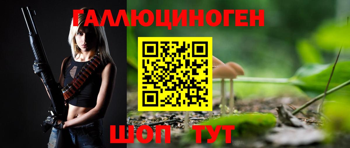 Галлюциногенные грибы Cubensis  Вход с VPN  Ефремов 